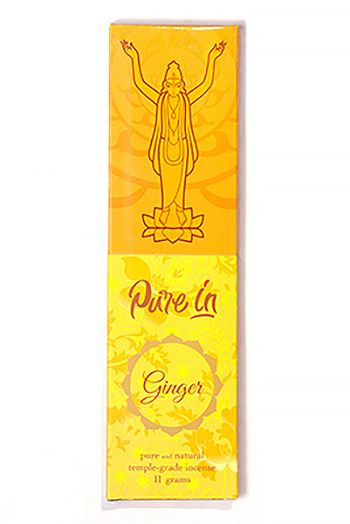 Благовония Ginger (Имбирь) PURE-IN herbs & spices