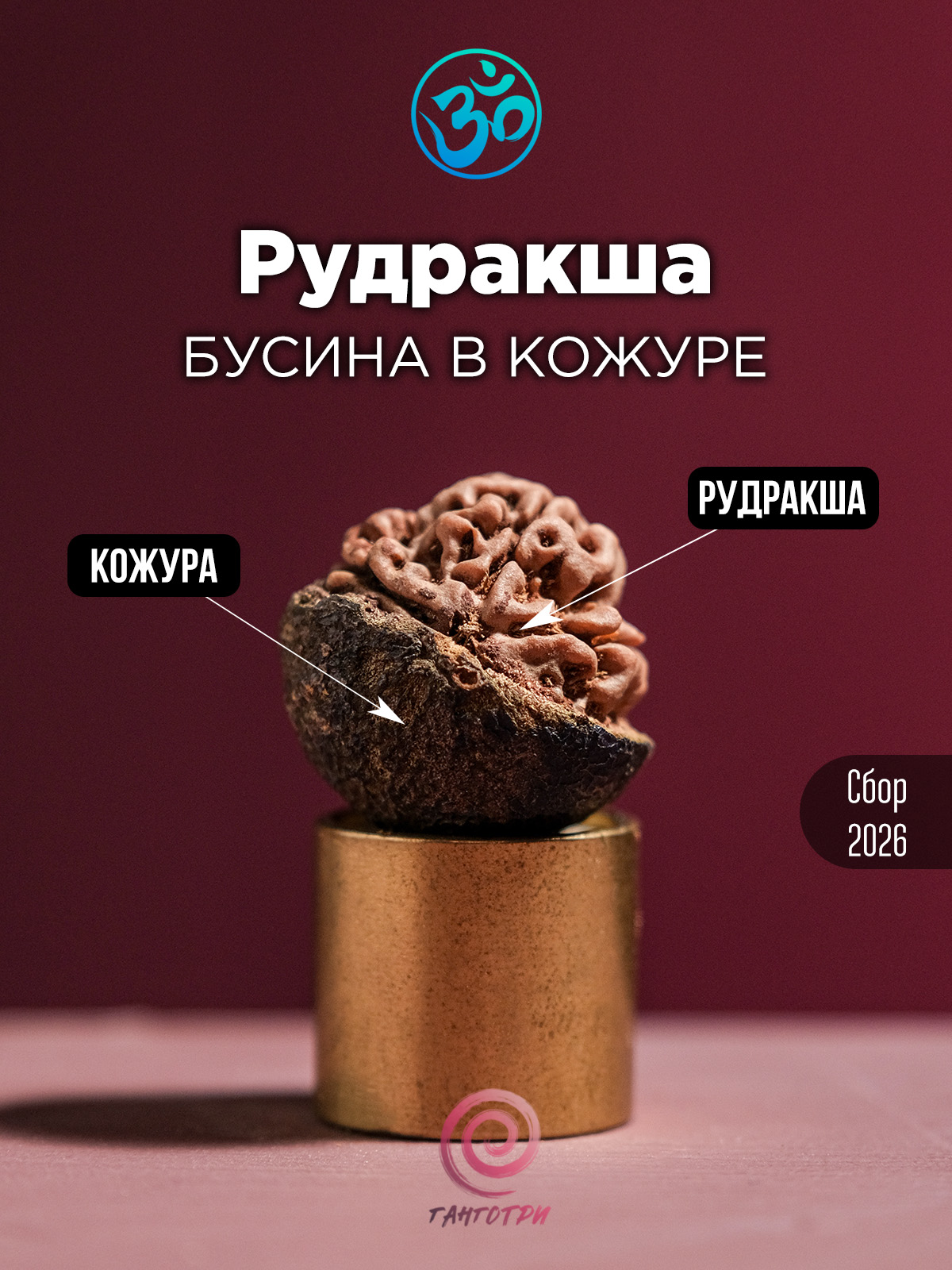 Рудракша натуральная неочищенная (в кожуре)