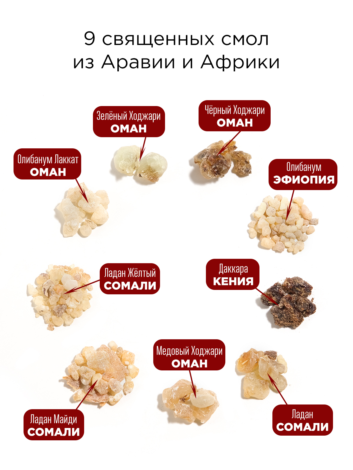 Набор священных ладанов (9 видов) натуральные смолы