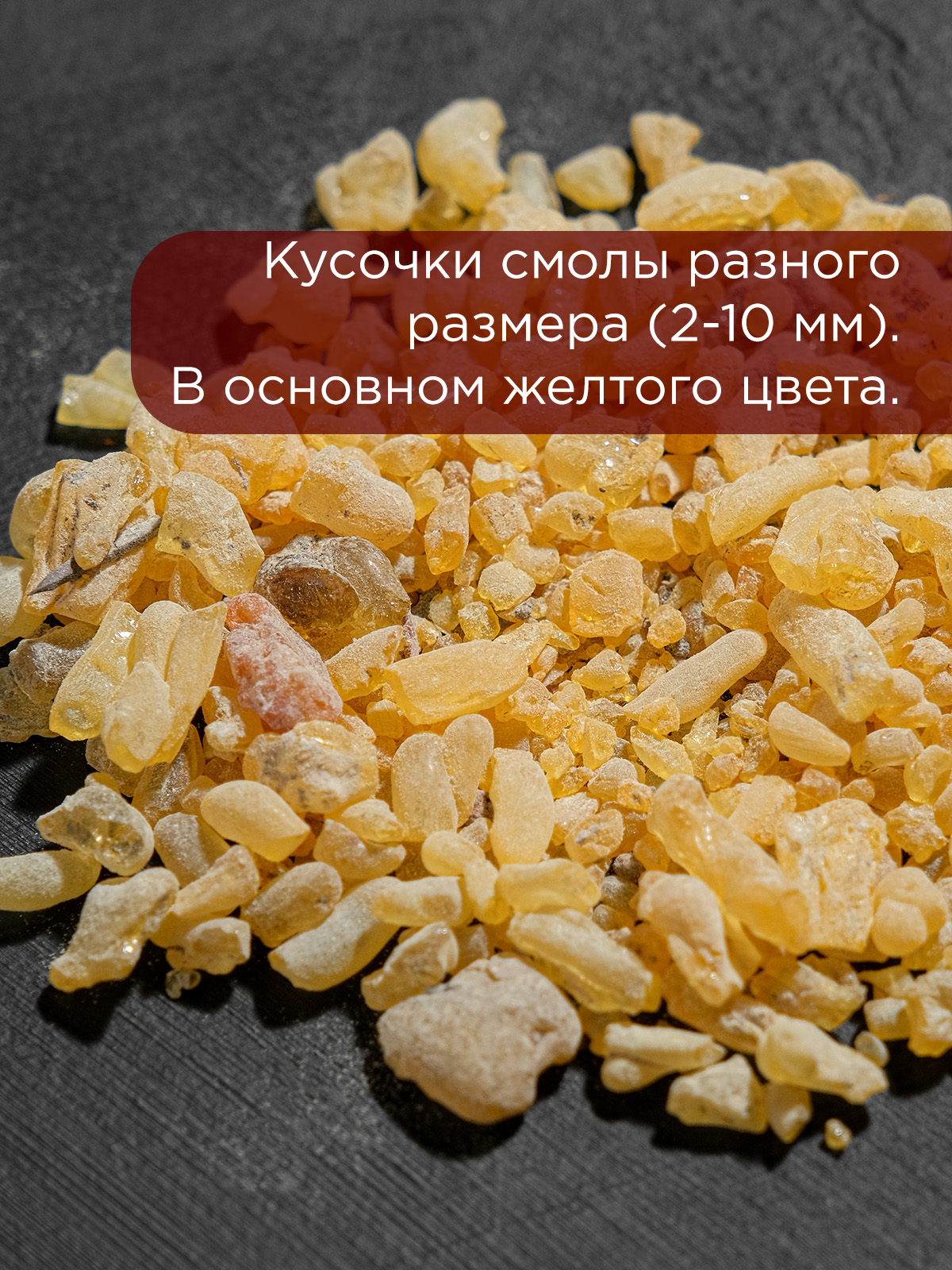 Сандарак (смола) Марокко