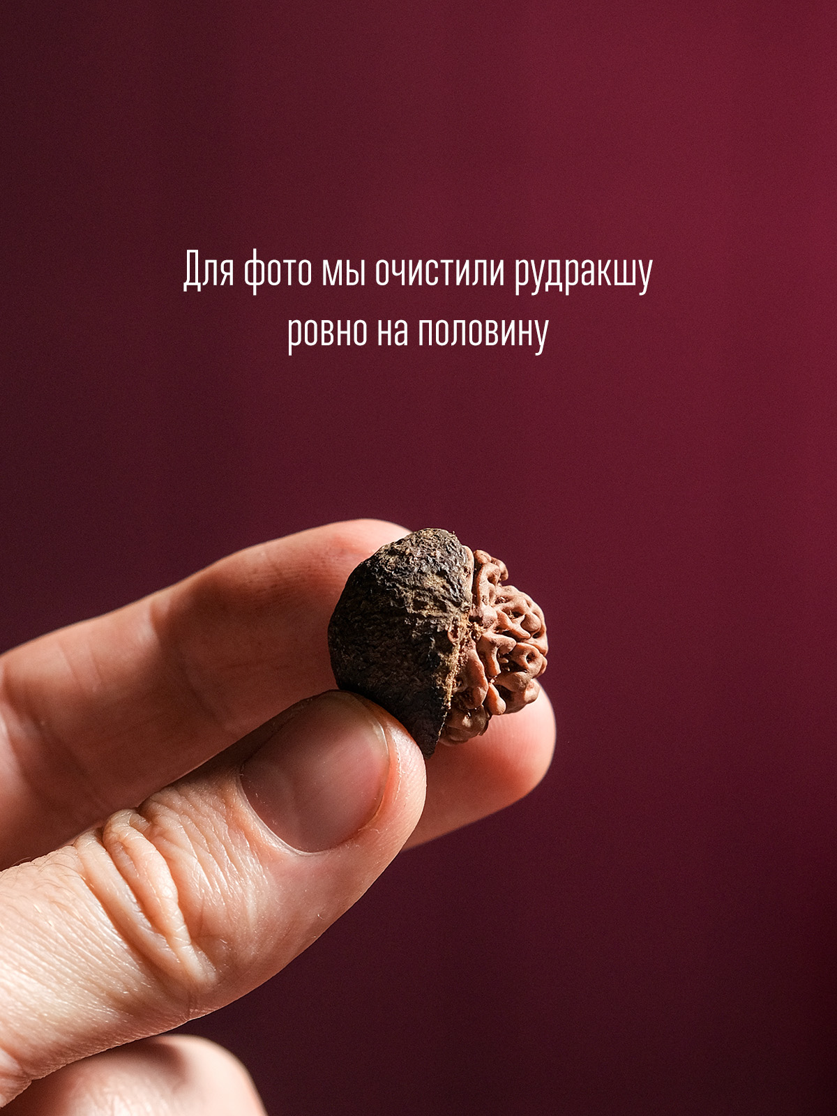 Рудракша натуральная неочищенная (в кожуре)