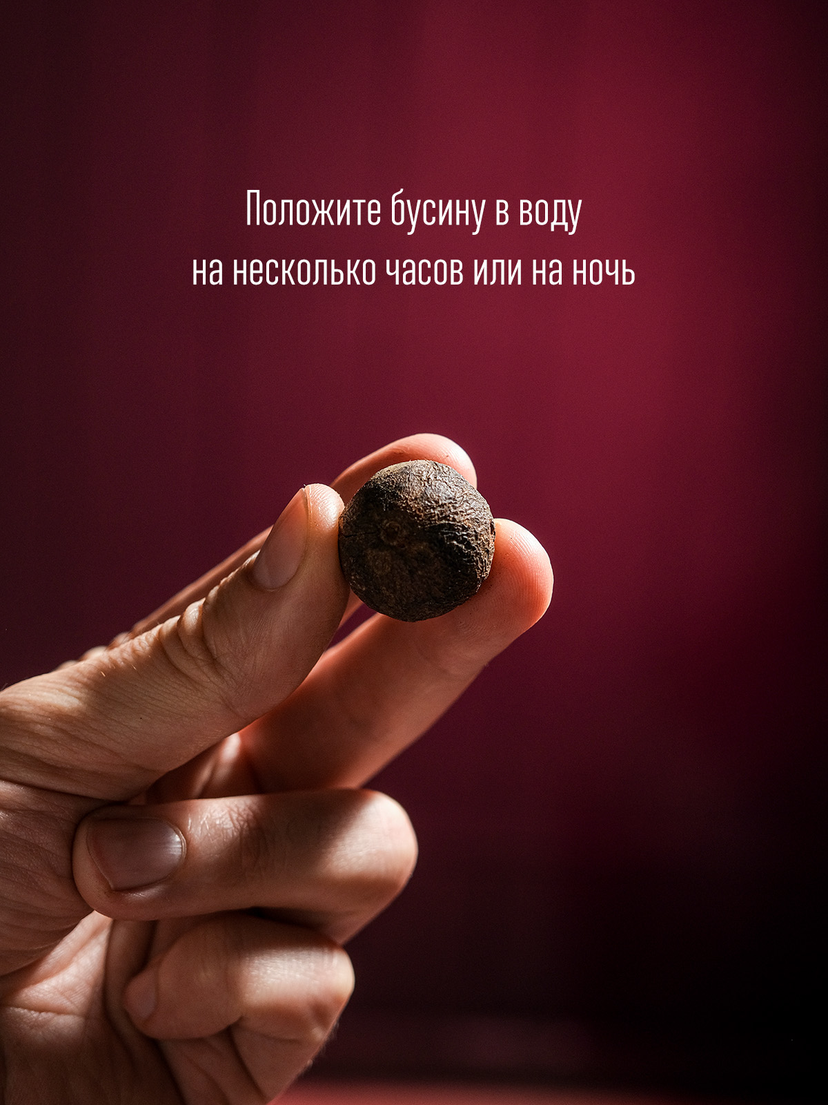Рудракша натуральная неочищенная (в кожуре)